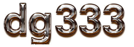 dg333 logo